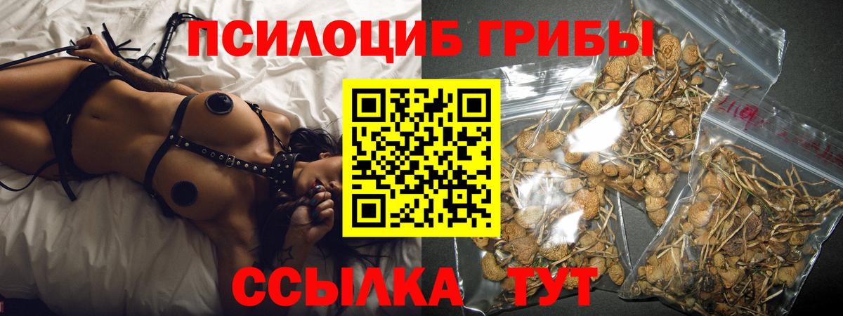 Галлюциногенные грибы прущие грибы Калининград